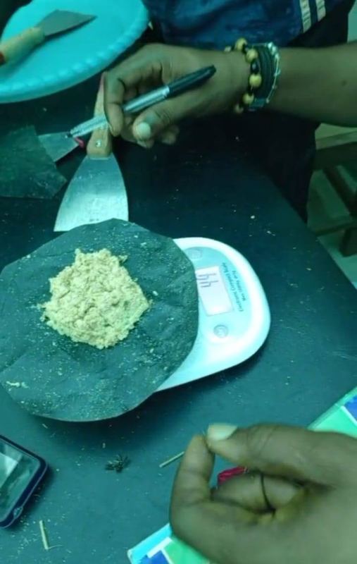 Weighing a larvae sample